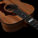 Godin Fairmount Composer Element Electro-Acoustic Guitar ~ Natural