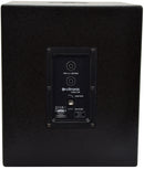 CASA-10B Passive Sub 300Wrms