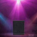 CASA-10B Passive Sub 300Wrms