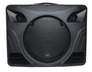 DELTA-200 Performance Portable PA Unit