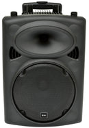 QR10PA Portable PA 10 inch