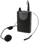 QR10PA Portable PA 10 inch