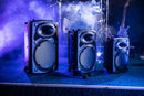 QR15PA Portable PA 15 inch