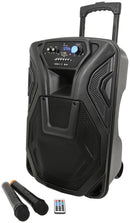 Busker-12 PA + 2 x VHF mics + USB/SD/FM/BT