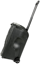 Busker-12 PA + 2 x VHF mics + USB/SD/FM/BT