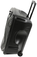 Busker-15 PA + 2 x VHF mics + USB/SD/FM/BT