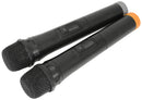 Busker-15 PA + 2 x VHF mics + USB/SD/FM/BT