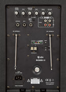 Busker-15 PA + 2 x VHF mics + USB/SD/FM/BT