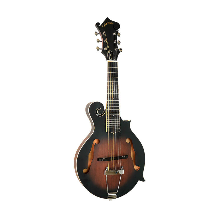 Gold Tone 6-string guitar mandolin with F-style body, pickup and case