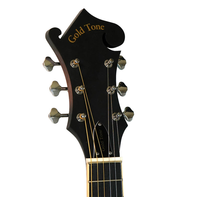Gold Tone 6-string guitar mandolin with F-style body, pickup and case