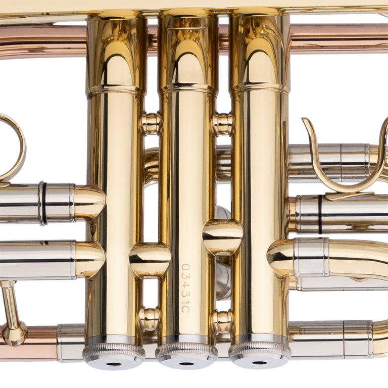 Stagg Bb Cornet, Monel, Brass body material - clear lacquered