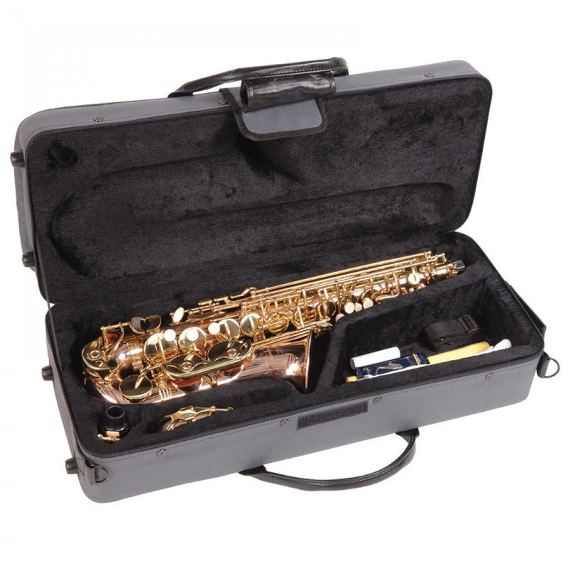 Odyssey Premiere 'EB' Alto Saxophone Outfit ~ Rose/Gold