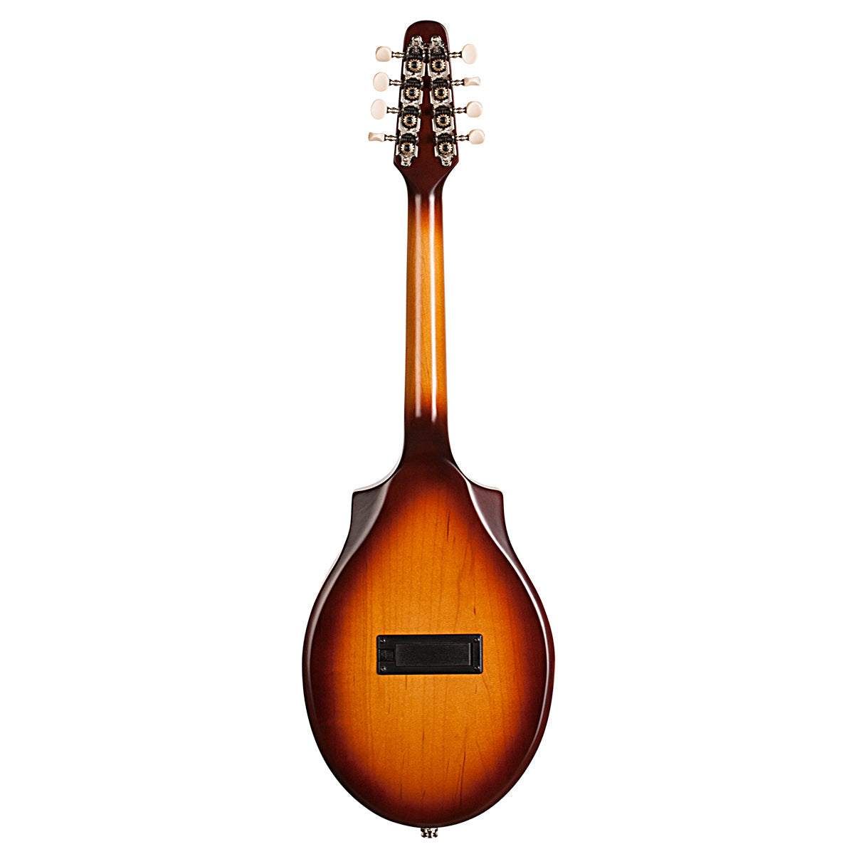 弦楽器 Seagull / S8 Mandolin Sunburst EQ IMG_4931_658f96f2-9ff7-4fa2-