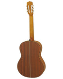 Aria Classical Guitar - A 10 - Matte Natural