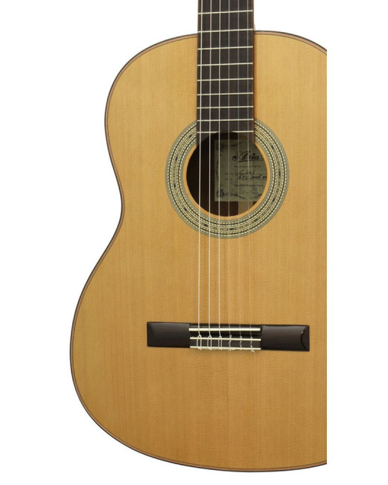 Aria Acoustic Guitar - C201 - Natural