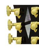 Aria Semi-Acoustic Guitar - FA 2100 - Almond Burst