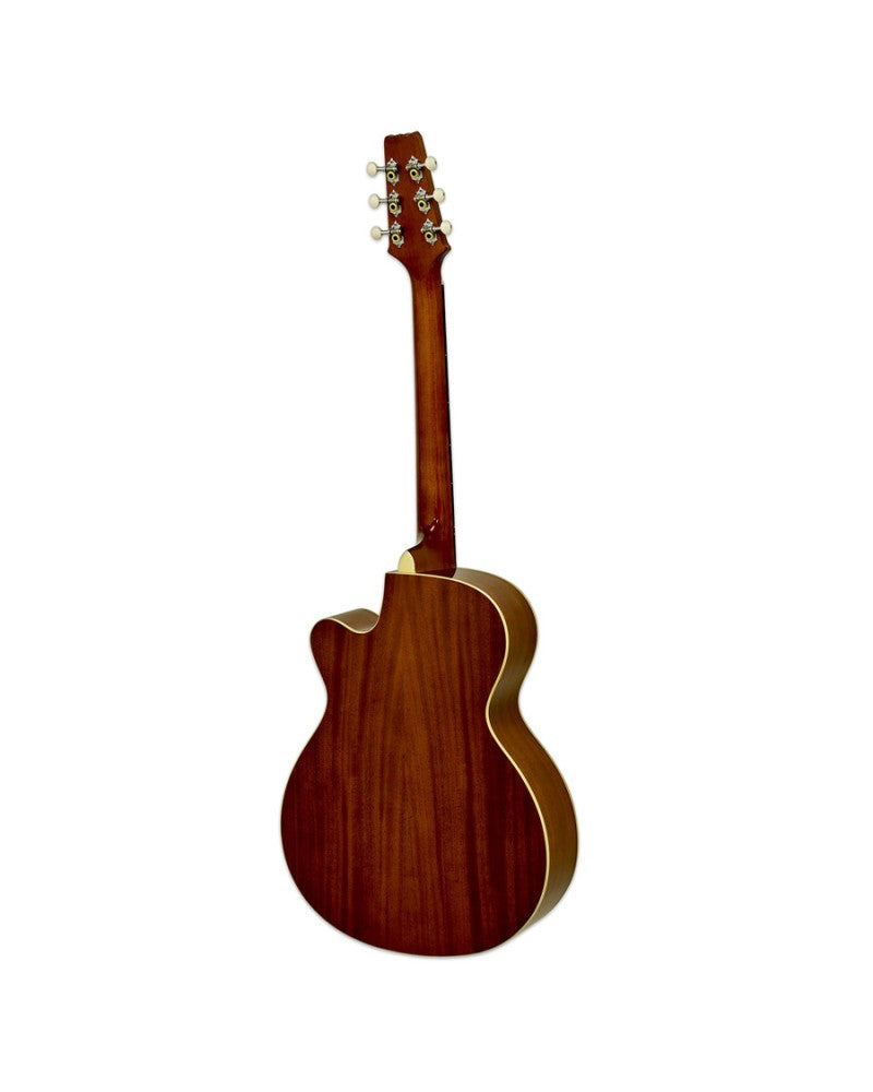 Aria Acoustic Guitar - FET R1 - Mahogany