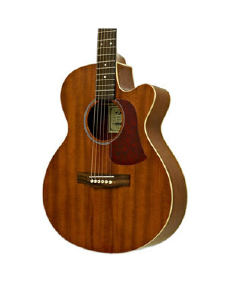 Aria Acoustic Guitar - FET R1 - Mahogany