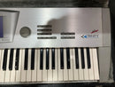 Korg Trinity Plus 61-Key Polyphonic Synthesizer