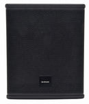 CASA-10B Passive Sub 300Wrms