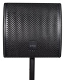 CM10 Passive Wedge Speaker 250Wrms