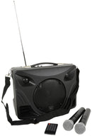 DELTA-50 Portable PA