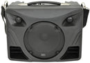 DELTA-50 Portable PA
