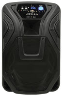 Busker-12 PA + 2 x VHF mics + USB/SD/FM/BT