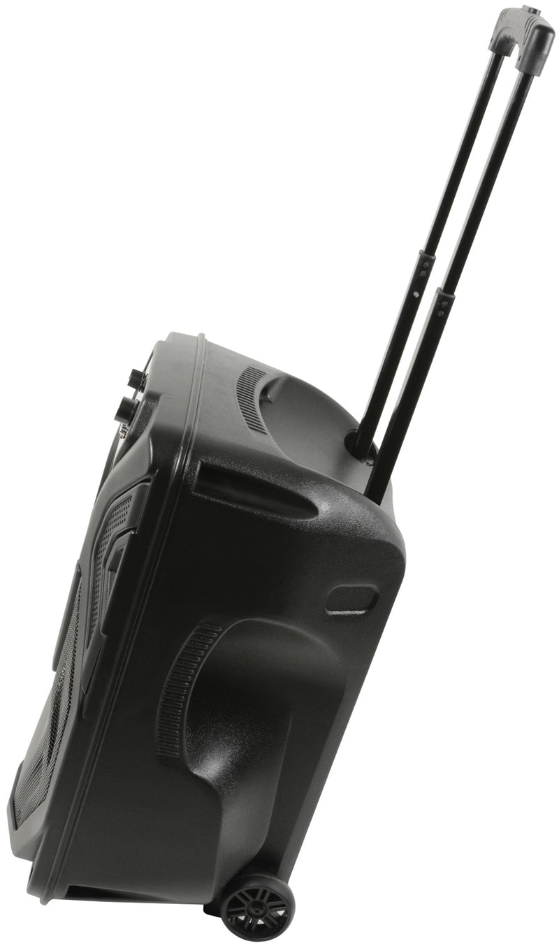 Busker-12 PA + 2 x VHF mics + USB/SD/FM/BT