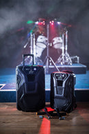 Busker-12 PA + 2 x VHF mics + USB/SD/FM/BT