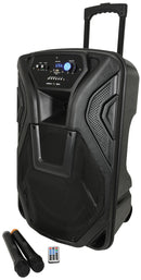 Busker-15 PA + 2 x VHF mics + USB/SD/FM/BT