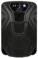 Busker-15 PA + 2 x VHF mics + USB/SD/FM/BT