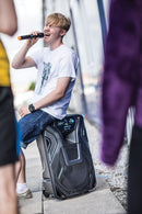 Busker-15 PA + 2 x VHF mics + USB/SD/FM/BT