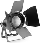 Stagg King PAR 60 with 1 x 60-watt RGB COB LED