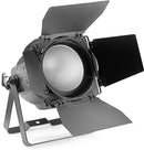 Stagg King PAR 200 with 1 x 200-watt RGB COB LED
