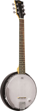 Gold Tone Banjitar with pickup and bag