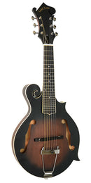 Gold Tone 6-string guitar mandolin with F-style body, pickup and case