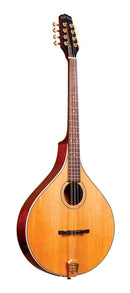 Gold Tone Octave mandolin with case