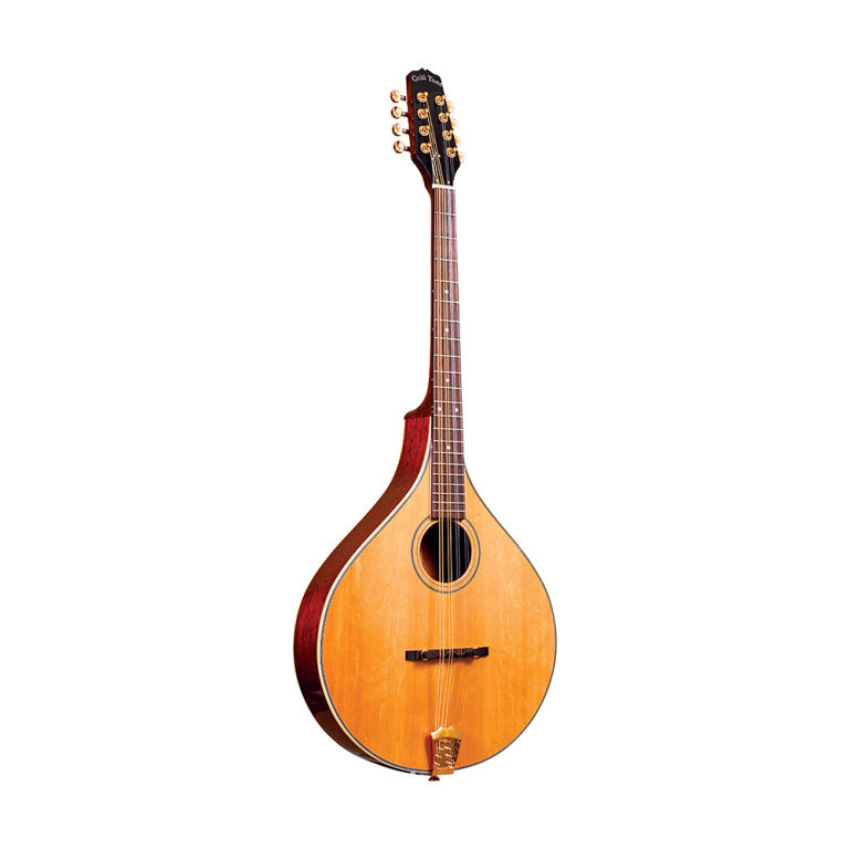 Gold Tone Octave mandolin with case