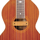 Gold Tone Weissenborn guitar pickup