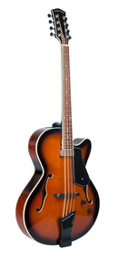 Gold Tone Mandocello guitar with pickup and case