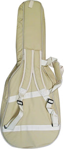 Gold Tone Weissenborn guitar with sapele top and bag