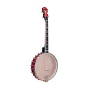 Gold Tone Irish tenor banjo and hardshell case