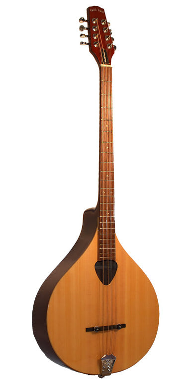 Gold Tone Irish bouzouki mandolin with hard case