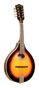 Gold Tone A-style mandolin with pickup and bag included