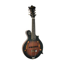 Gold Tone 6-string guitar mandolin with F-style body, pickup and case