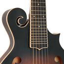 Gold Tone 6-string guitar mandolin with F-style body, pickup and case