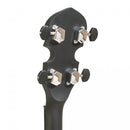 Gold Tone Acoustic composite 4-string openback tenor banjo with gig bag
