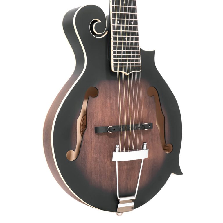 12-string guitar mandolin with F-style body, pickup and case