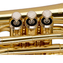 Stagg Bb Pocket Trumpet, ML-bore, Brass body material - clear lacquered